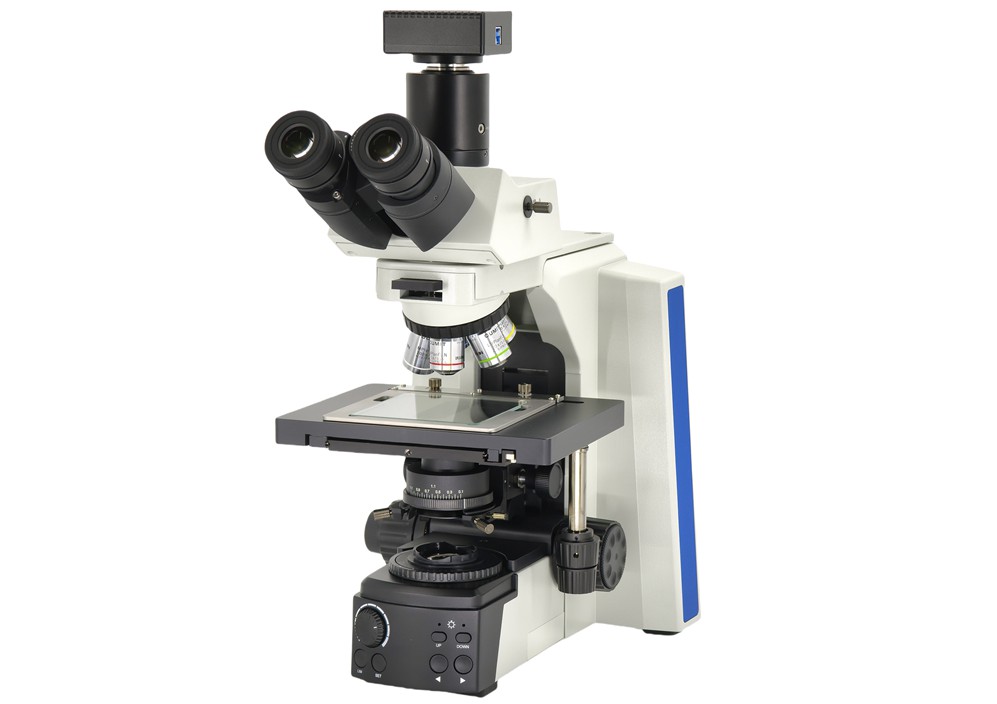 1713696004309329.jpg 1713696004309329.jpg